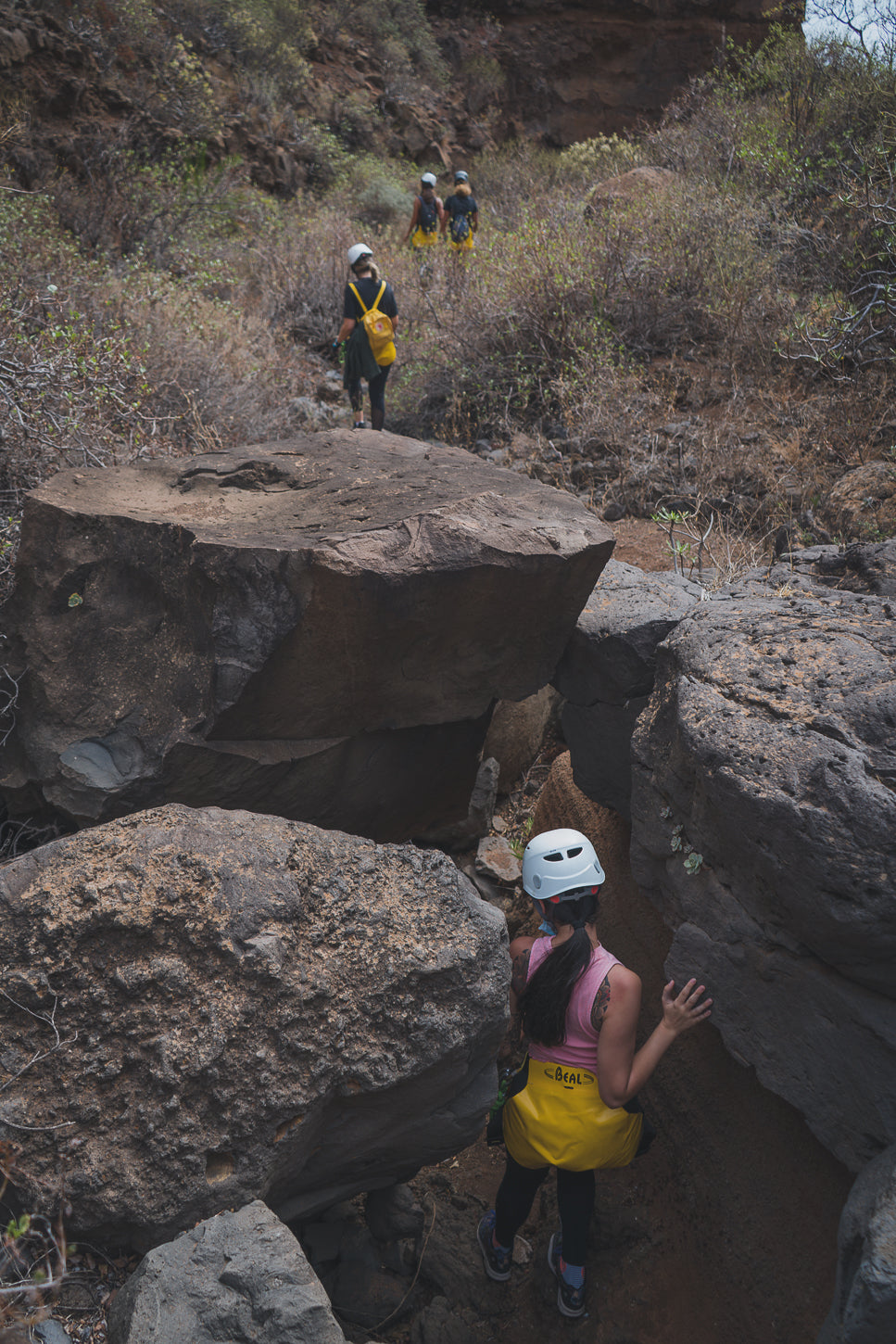 BARRANCO DE LAS VACAS